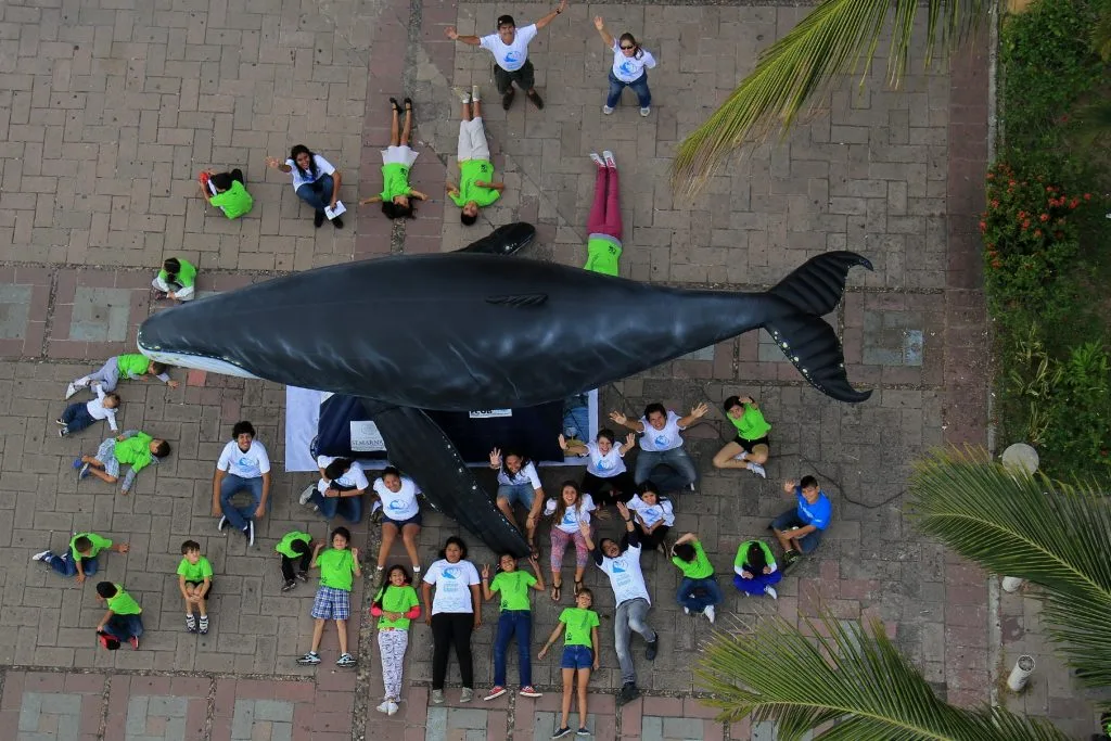 Students take part in an ECOBAC environmental education event featuring a life-size humpback whale model