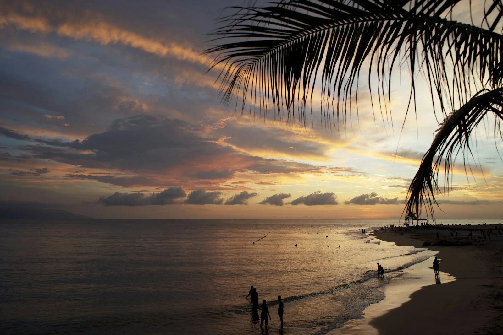 Sunset over the beach in Puerto Vallarta, framed by a palm tree, with people walking along the shore