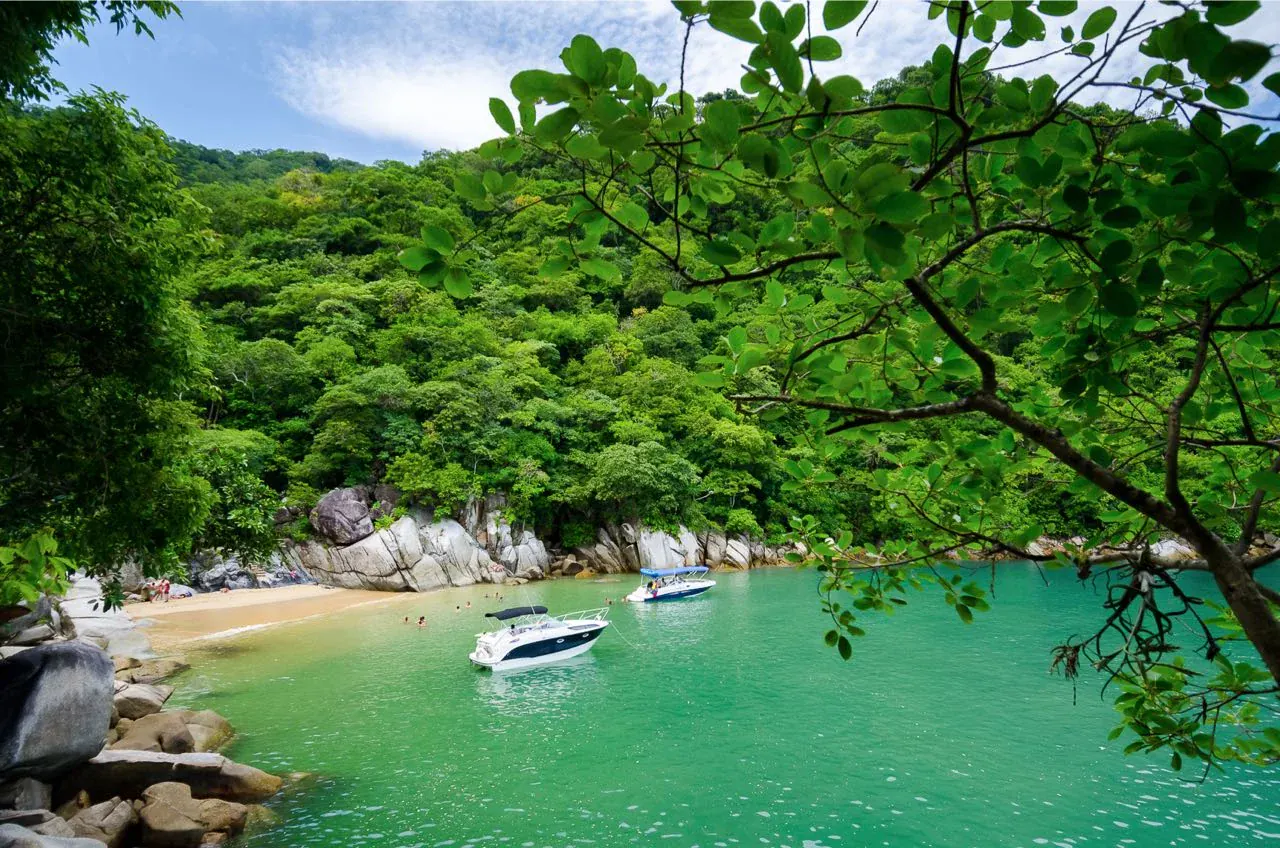 Colomitos beach, a tiny emerald-water cove completely surrounded by jungle