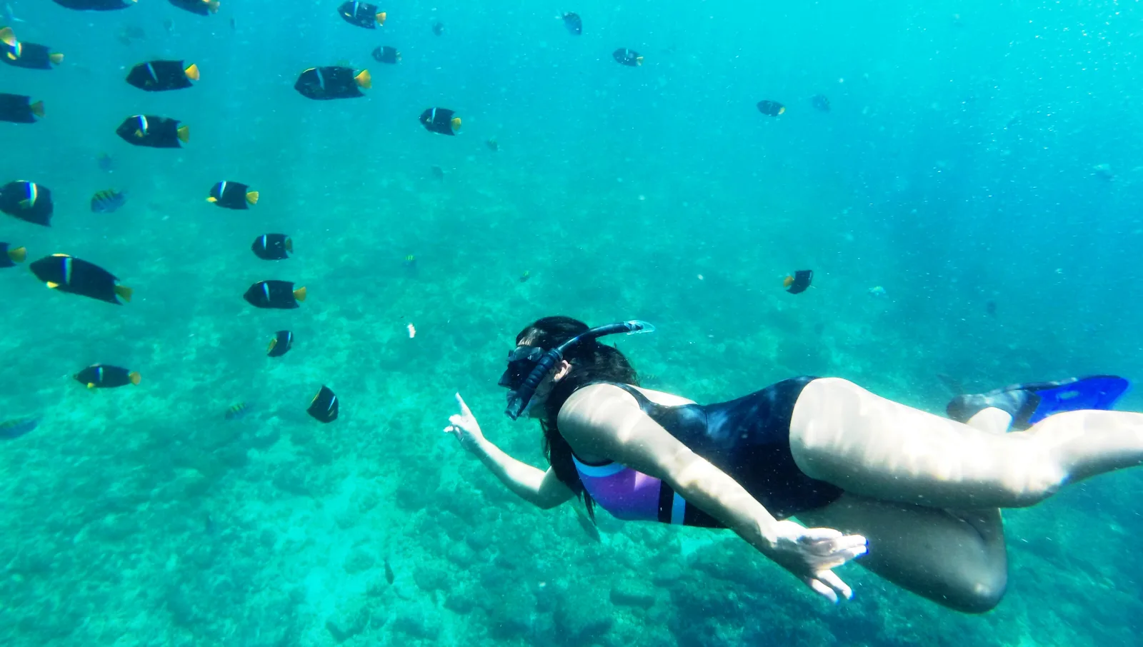 Snorkeler observing tropical fish at Los Arcos