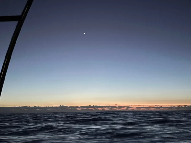 Twilight over the open sea during the night tour