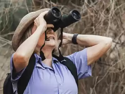 Bird watchers with binoculars near Puerto Vallarta