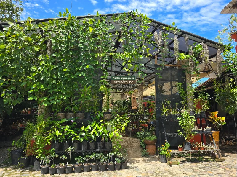 Plant nursery shop at the Vallarta Botanical Garden