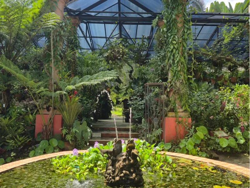 Greenhouse interior with fountain and orchids