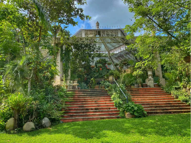 Greenhouse exterior with a red staircase leading up to it