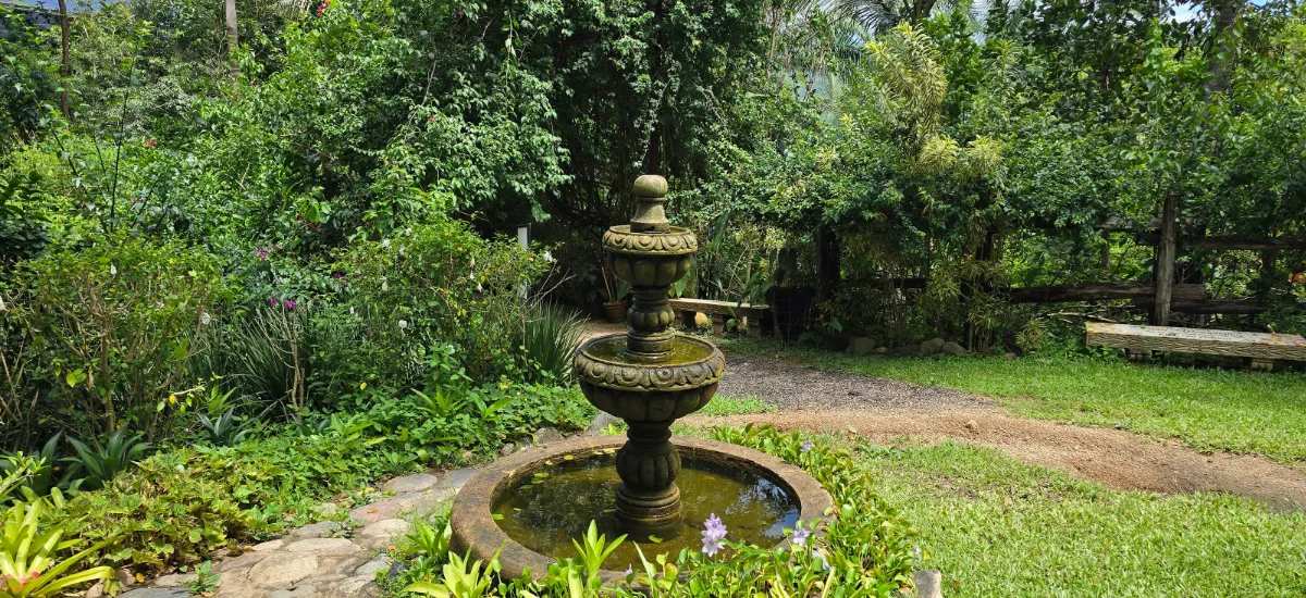 Stone fountain surrounded by lush garden greenery