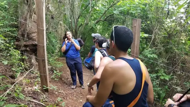 Guide leading guests along the forest trail to Colomitos