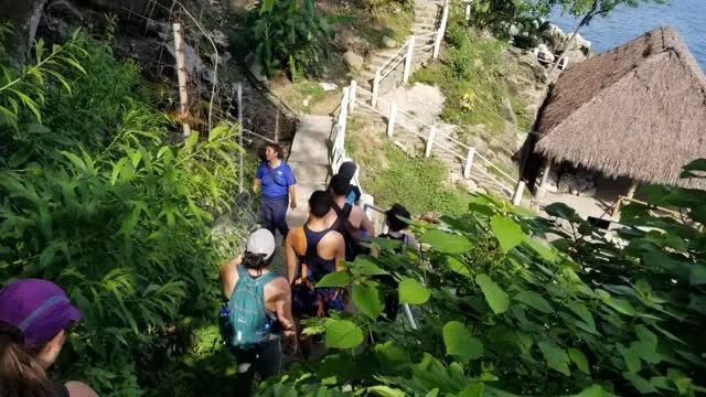 Hikers walking down a jungle trail toward Colomitos Beach with the ocean visible through the vegetation