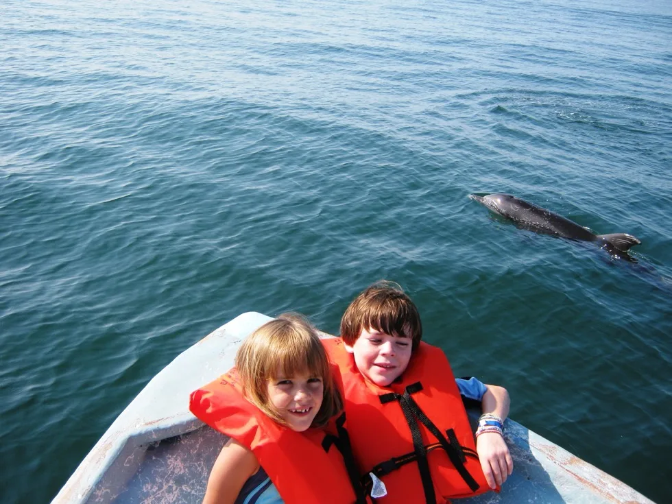 Kids on the boat watching a dolphin swim alongside