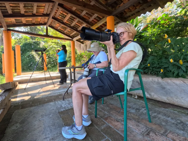 Birdwatchers photographing from a covered palapa with binoculars and telephoto lenses