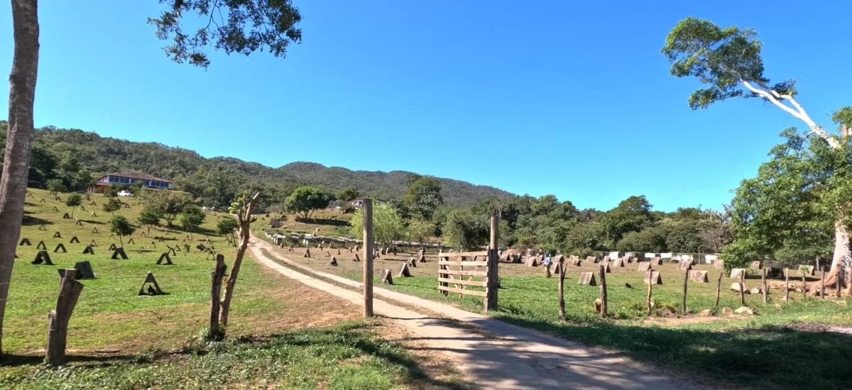 Rancho Primavera grounds with rows of bird feeders and forested hills