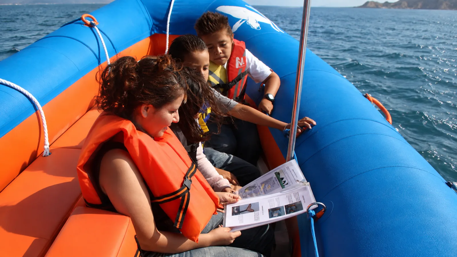 Ecotours biologist explaining whale behavior to a small group aboard the boat