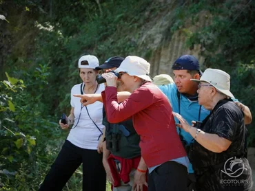 Birdwatching at the Ameca River estuary near Puerto Vallarta