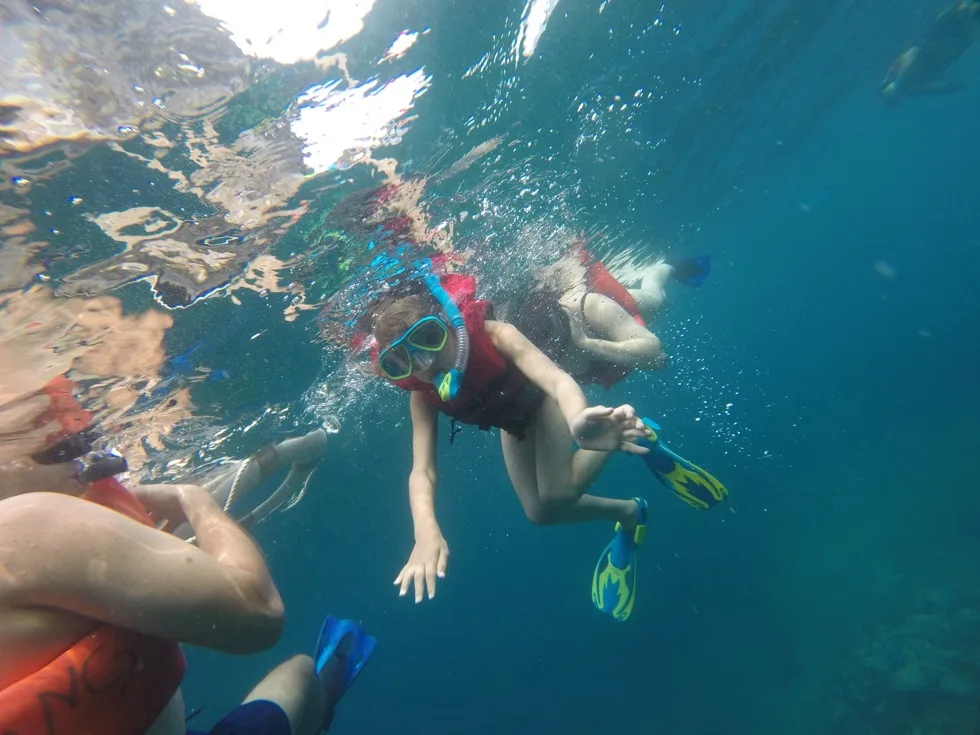 Snorkeler observing fish near the rocky shoreline at Los Arcos