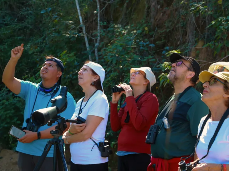 Birdwatching group observing wildlife with a spotting scope