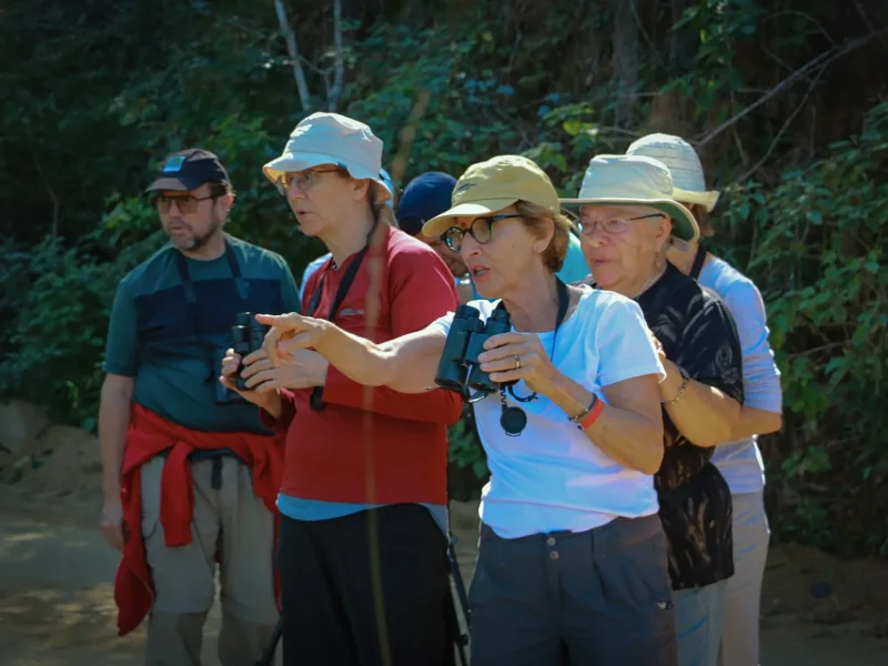 Birdwatching group observing wildlife with binoculars