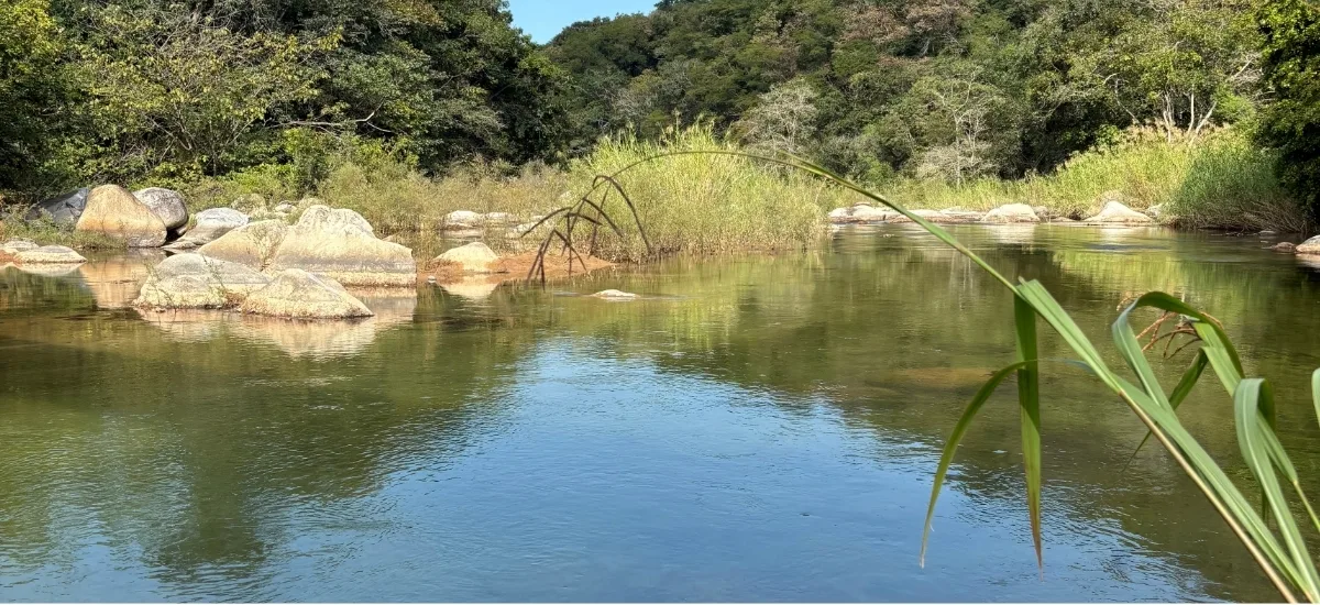 River landscape near Boca de Tomatlán surrounded by forest