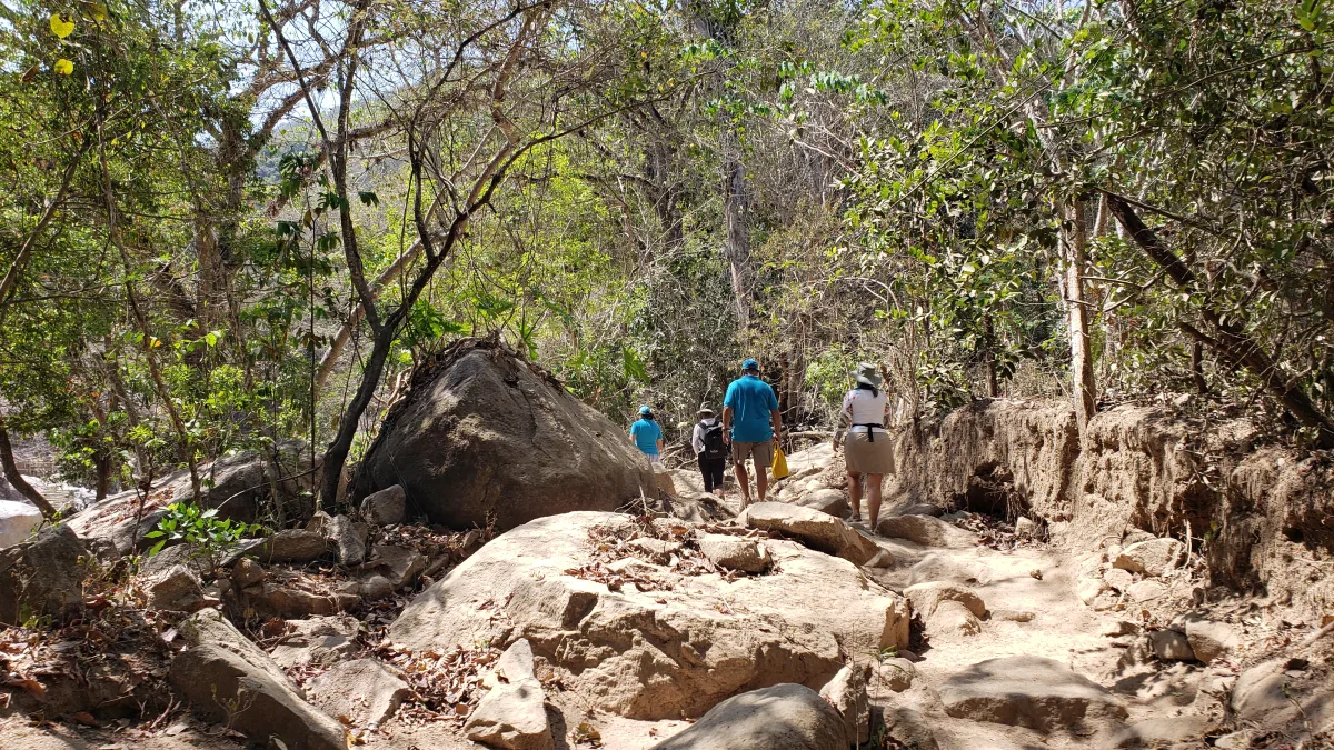 Group hiking through the forest trail among boulders