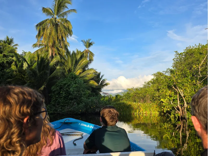 Boat trip through a mangrove channel