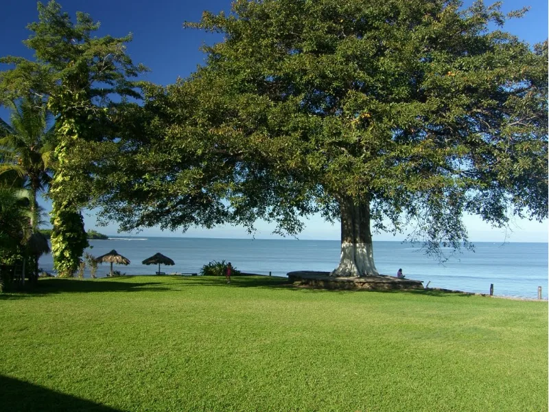 Hotel Paraiso Miramar gardens overlooking the sea