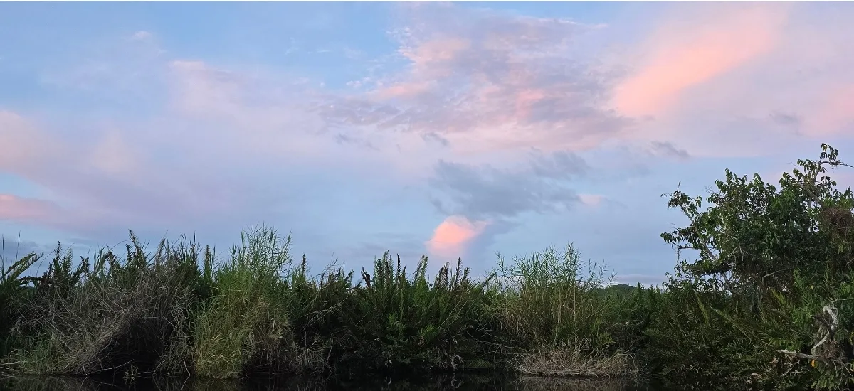 Sunset over the San Blas wetlands