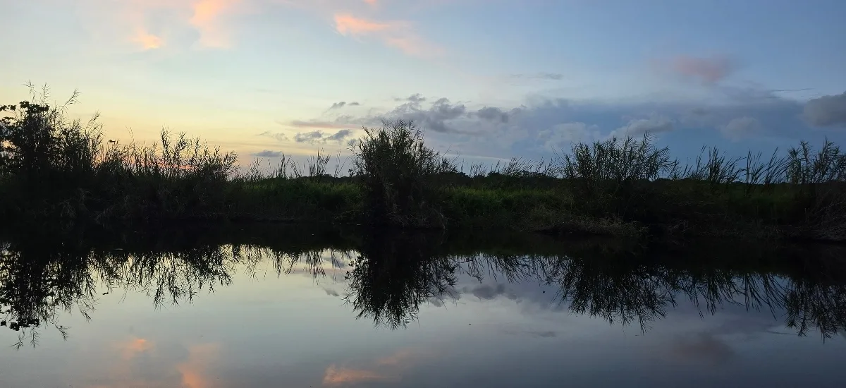 Calm wetland pond at dusk