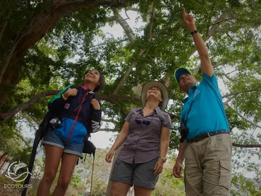 San Sebastian del Oeste colonial town birdwatching tour