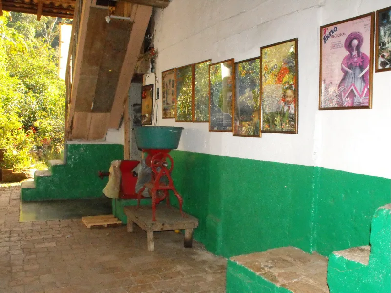 Framed historical photos on the wall of the coffee plantation