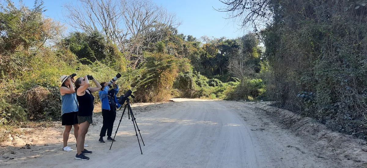 Birdwatchers with binoculars and a spotting scope along a dirt road