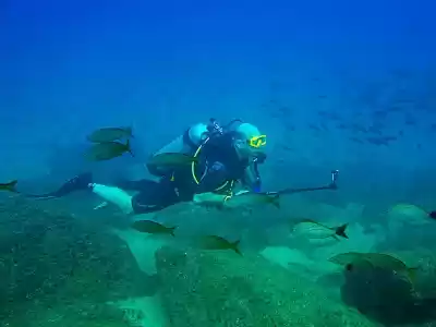 Scuba diving tour near Puerto Vallarta