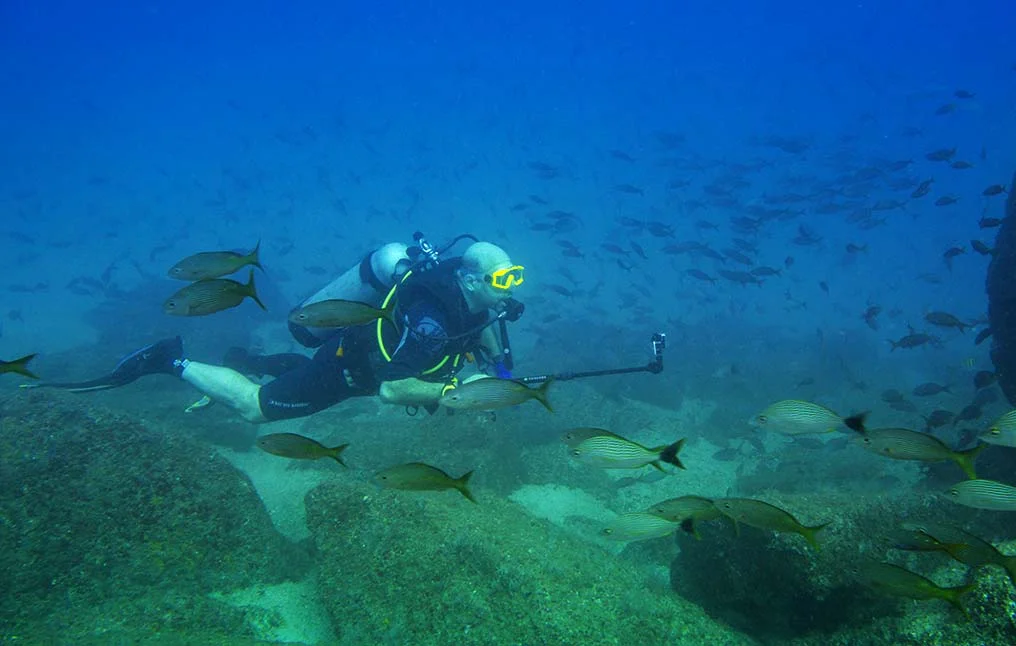 Diver photographing a school of reef fish at a Puerto Vallarta dive site