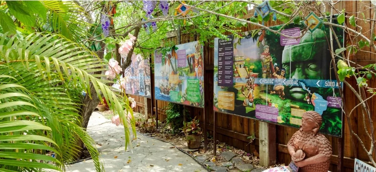 Cacao history displays along the garden path at Planeta Cacao