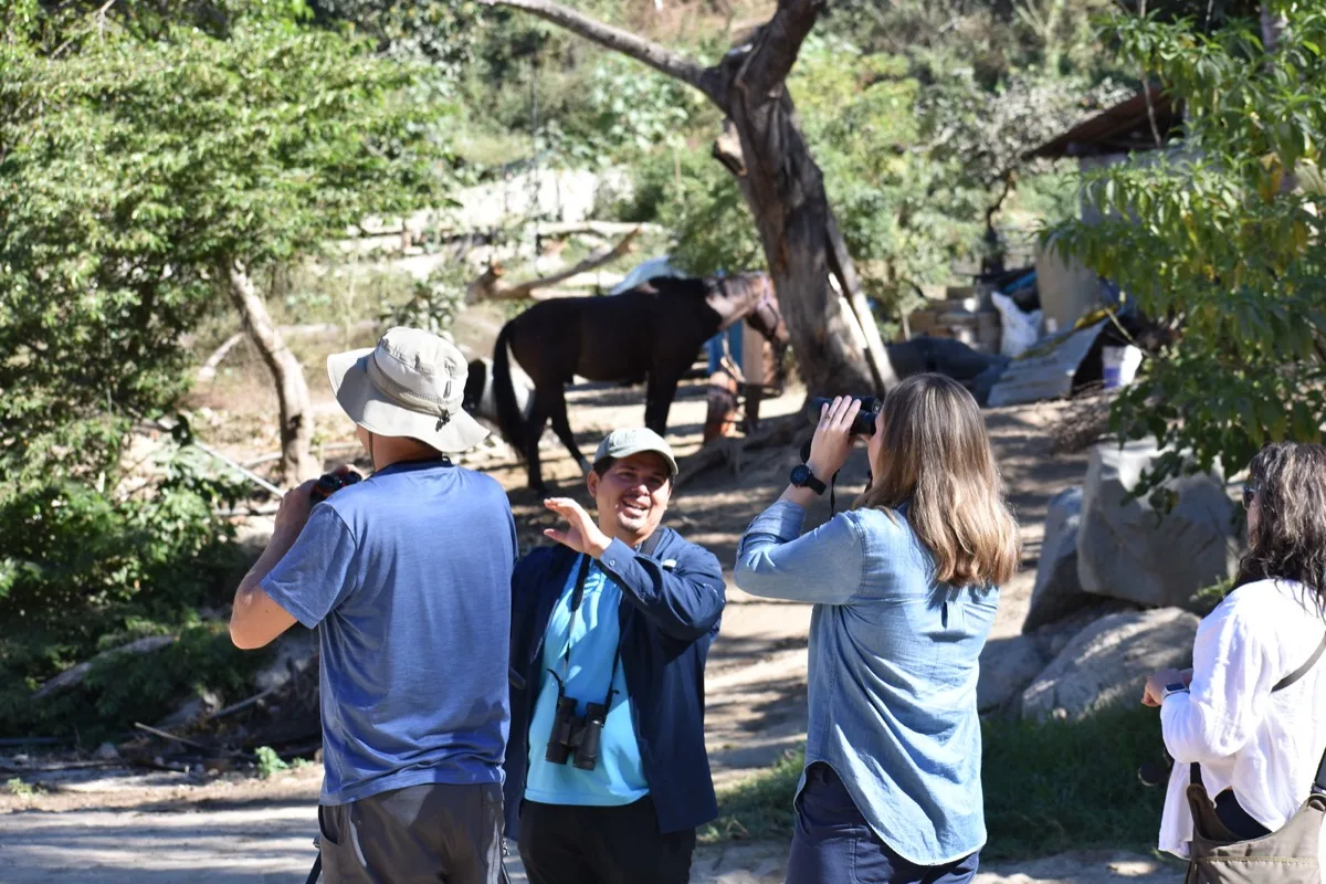 Birdwatching group observing wildlife in the Sierra de Vallejo