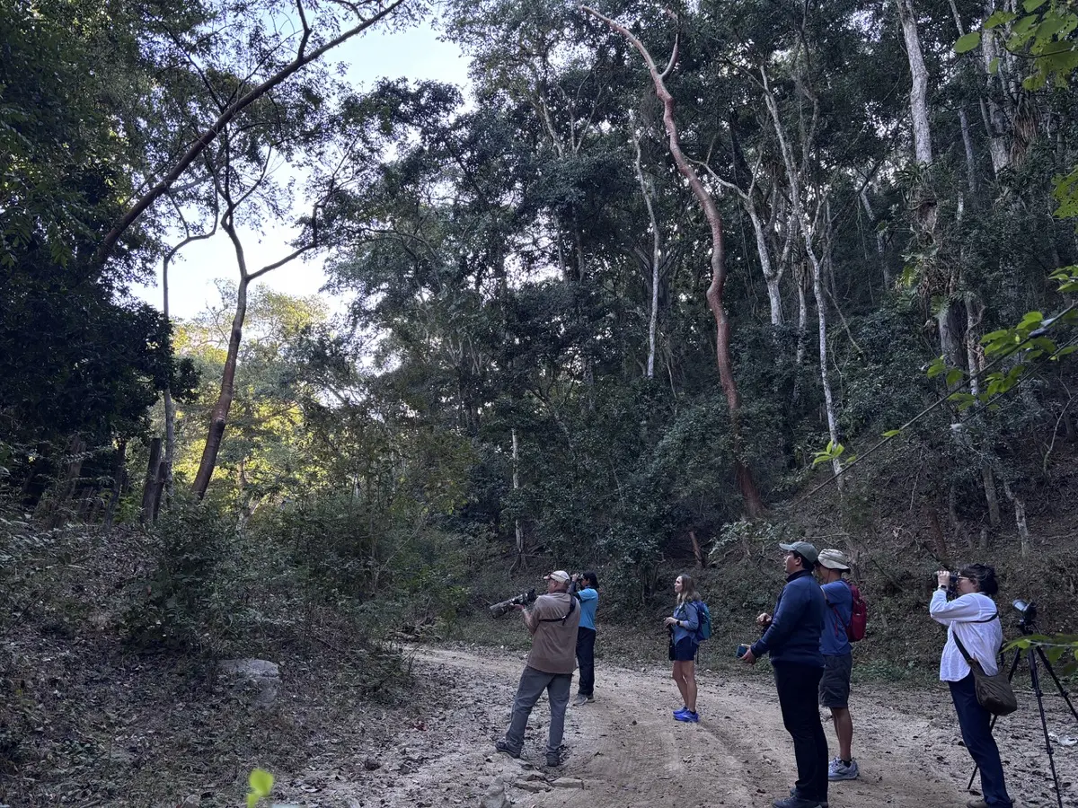 Group birdwatching along a forest trail in the Sierra de Vallejo