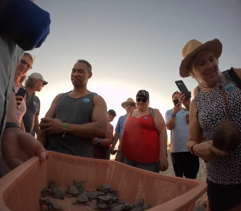 Guide handing out baby sea turtles from a basket before release