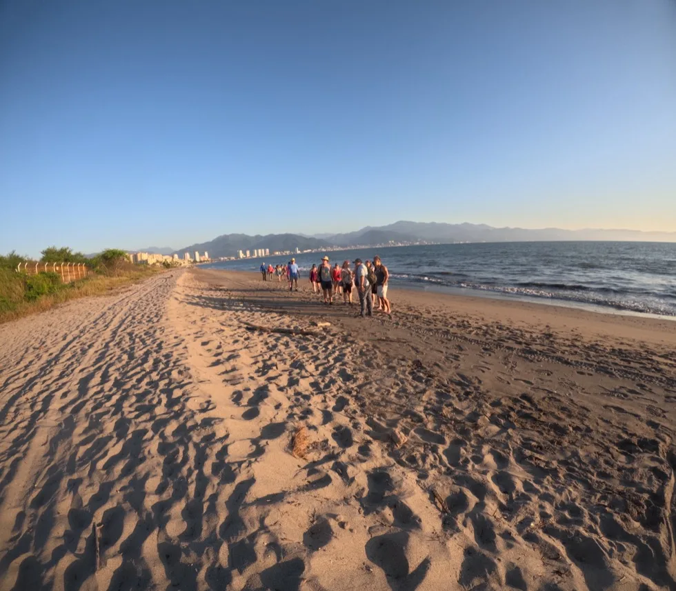 Group walking along the beach toward the sea turtle camp