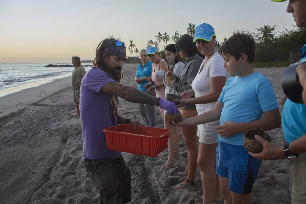 Staff member handing out coconut shells with baby turtles to guests