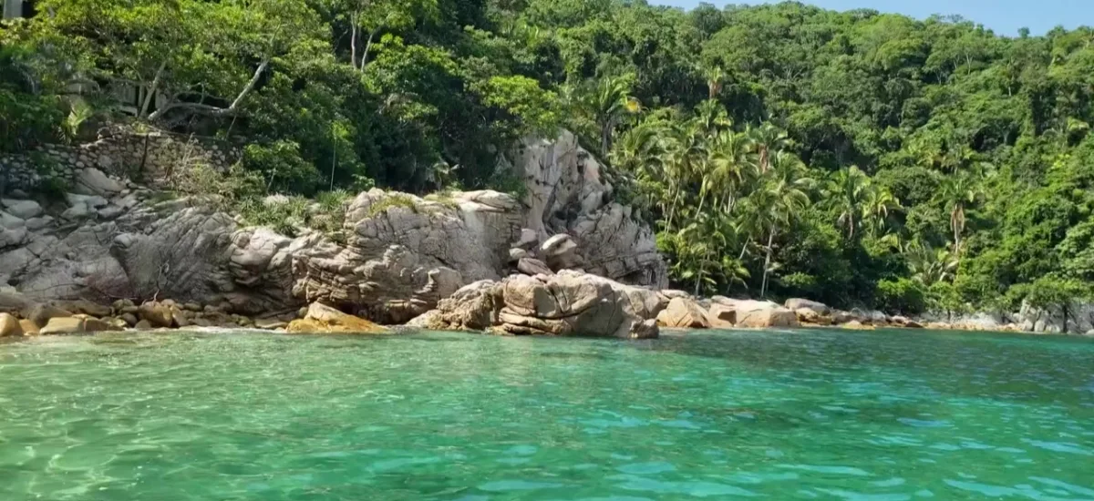 View from the water of the rocky, palm-lined coastline near Yelapa