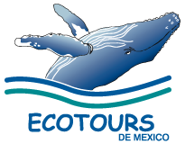 ecotoursvallarta.com Logo